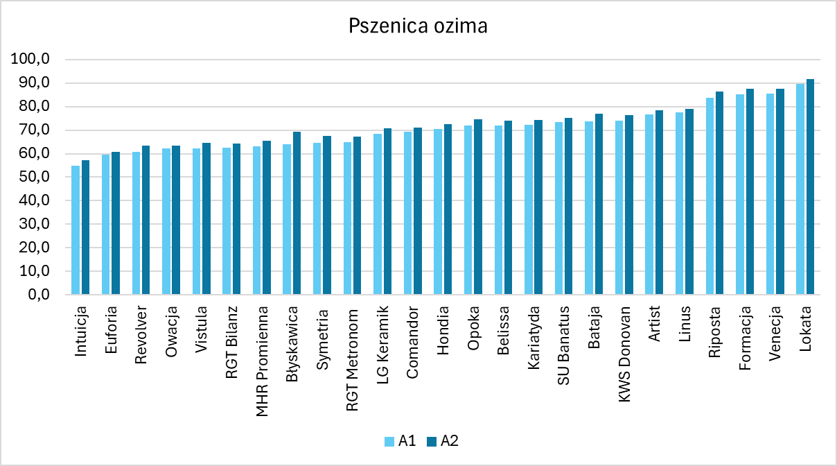 Pszenica ozima plon 2023