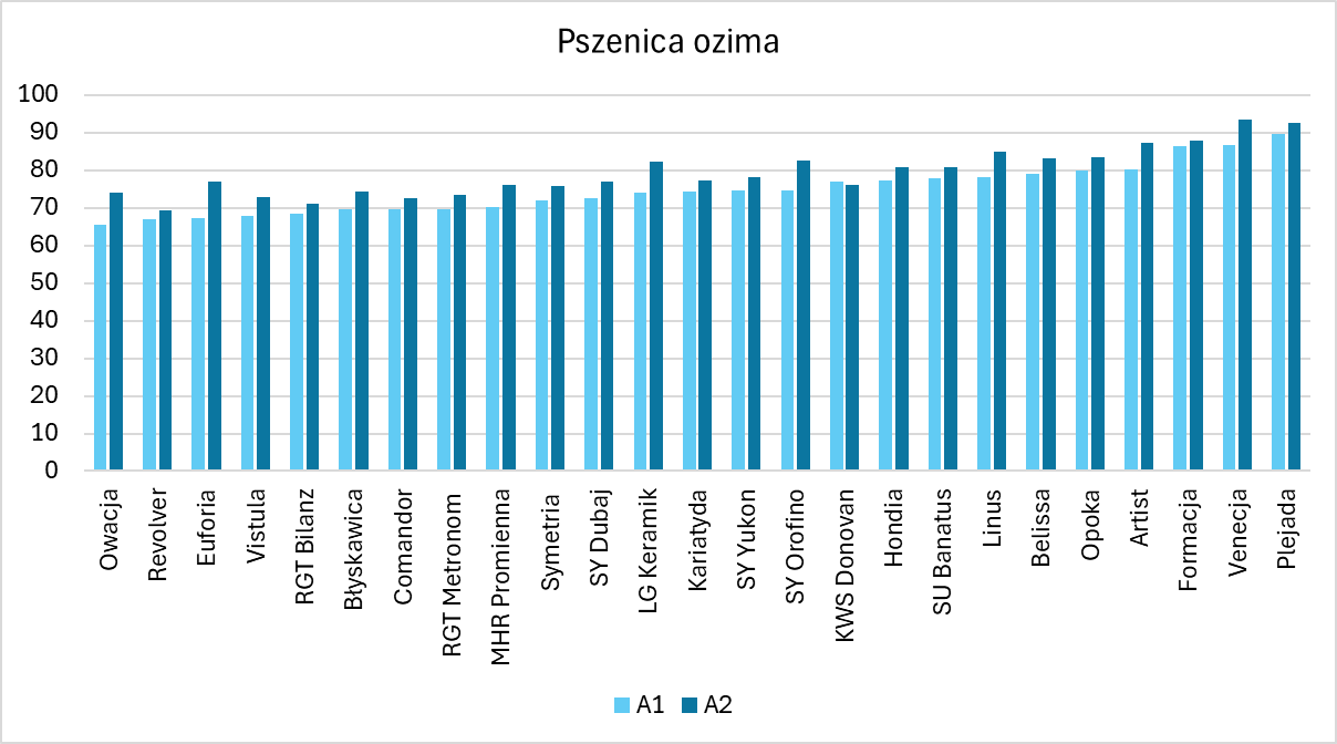 Pszenica ozima plon 2024